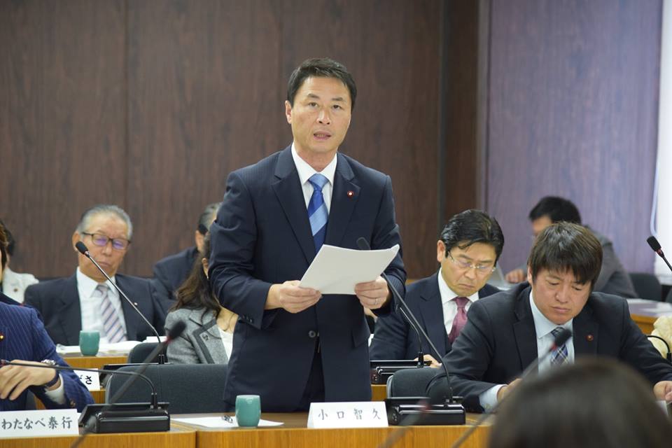 決算特別委員会「地方公会計の取り組みについて」質問
